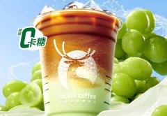 投资创业的好品牌 认定瑞幸咖啡加盟
