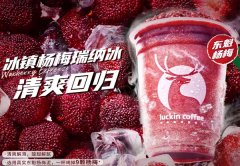 火遍全国的瑞幸咖啡！